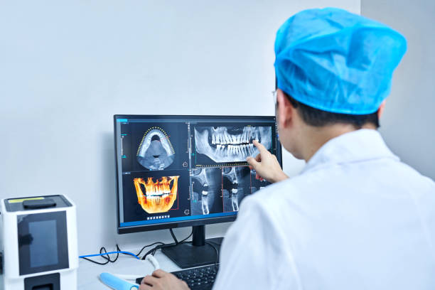 Best Emergency X-Rays and Diagnostics in Mansfield Center, CT